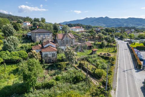 Farm i Ponte de Lima, Viana do Castelo, Ponte de Lima - € 450.000 | Ref: 123331135-87 - foto 2