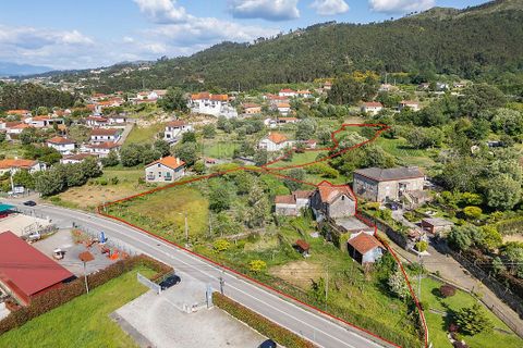 Farm i Ponte de Lima, Viana do Castelo, Ponte de Lima - € 450.000 | Ref: 123331135-87 - foto 10