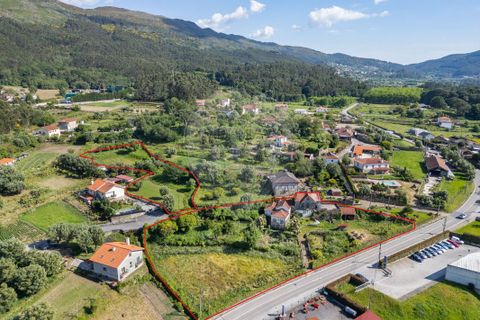 Farm i Ponte de Lima, Viana do Castelo, Ponte de Lima - € 450.000 | Ref: 123331135-87 - foto 11