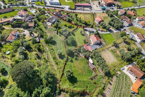 Farm i Ponte de Lima, Viana do Castelo, Ponte de Lima - € 450.000 | Ref: 123331135-87 - foto 12