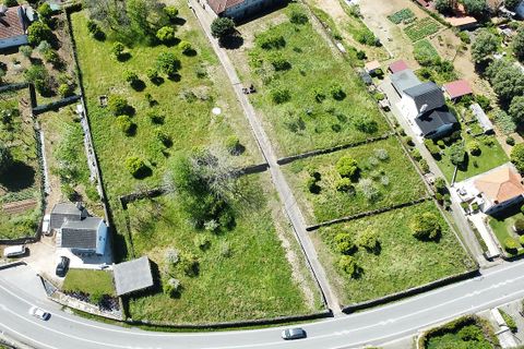 Farm i Ponte de Lima, Viana do Castelo, Ponte de Lima - € 1.890.000 | Ref: 126201003-208 - foto 4