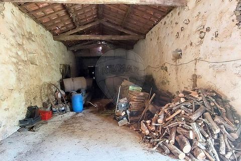 Farm i Ponte de Lima, Viana do Castelo, Ponte de Lima - € 1.890.000 | Ref: 126201003-208 - foto 13