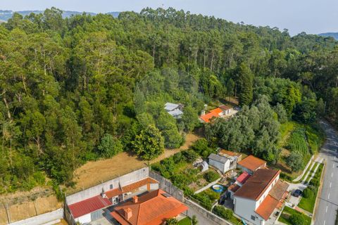 Tomt i Ponte de Lima, Viana do Castelo, Ponte de Lima - € 46 500 | Ref: 123331135-88 - foto 2