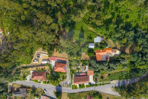 Tomt i Ponte de Lima, Viana do Castelo, Ponte de Lima - € 46 500 | Ref: 123331135-88 - foto 3