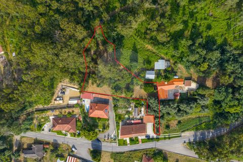 Tomt i Ponte de Lima, Viana do Castelo, Ponte de Lima - € 46 500 | Ref: 123331135-88 - foto 4