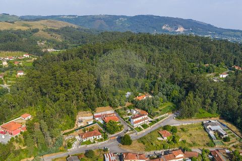 Tomt i Ponte de Lima, Viana do Castelo, Ponte de Lima - € 46 500 | Ref: 123331135-88 - foto 5