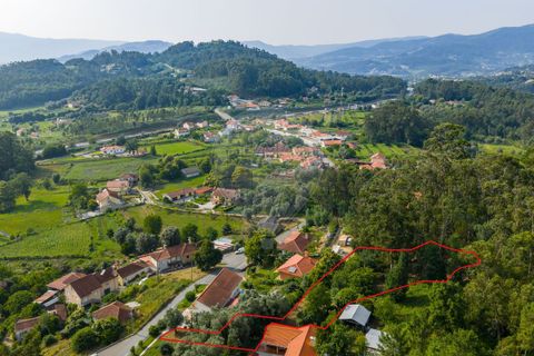 Tomt i Ponte de Lima, Viana do Castelo, Ponte de Lima - € 46 500 | Ref: 123331135-88 - foto 12