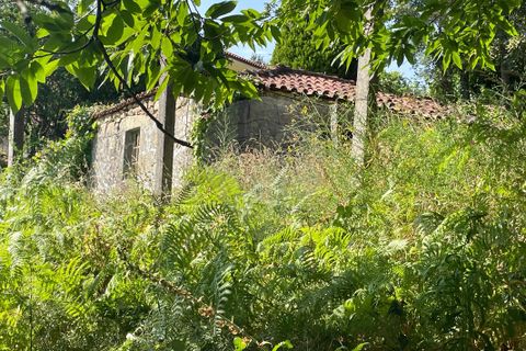 Villa i Arcos de Valdevez, Viana do Castelo, Arcos de Valdevez - € 55.000 | Ref: 123331167-537 - foto 2
