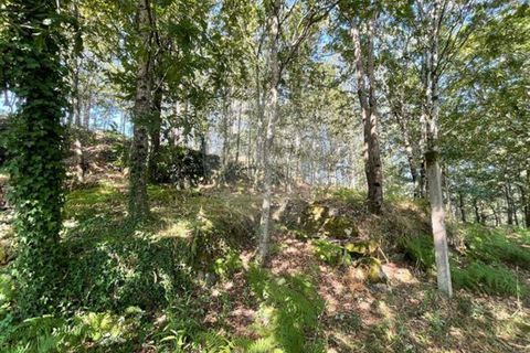 Villa i Arcos de Valdevez, Viana do Castelo, Arcos de Valdevez - € 55.000 | Ref: 123331167-537 - foto 6
