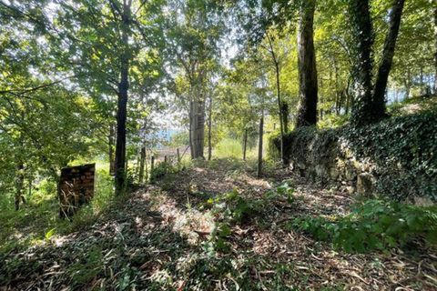 Villa i Arcos de Valdevez, Viana do Castelo, Arcos de Valdevez - € 55.000 | Ref: 123331167-537 - foto 10