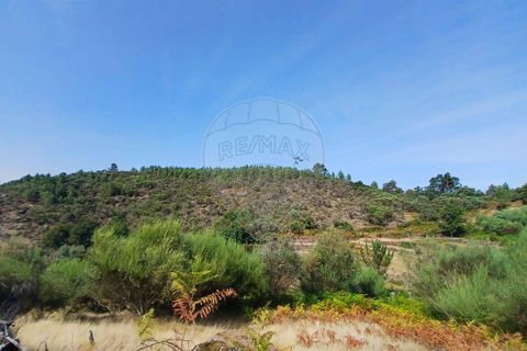 Helårsgrund i Arcos de Valdevez, Viana do Castelo, Arcos de Valdevez - € 45.000 | Ref: 123331167-546 - foto 1