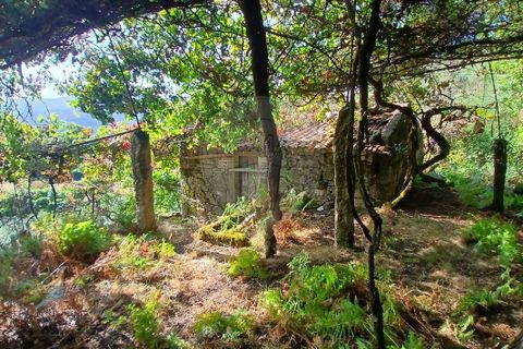 Helårsgrund i Arcos de Valdevez, Viana do Castelo, Arcos de Valdevez - € 45.000 | Ref: 123331167-546 - foto 2