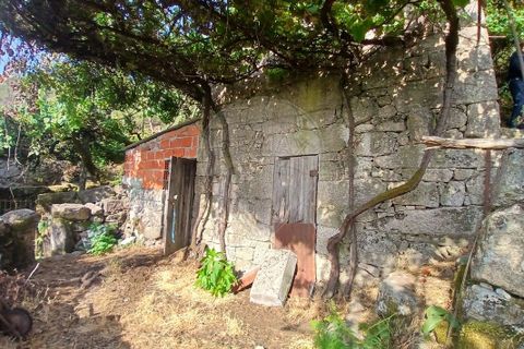 Helårsgrund i Arcos de Valdevez, Viana do Castelo, Arcos de Valdevez - € 45.000 | Ref: 123331167-546 - foto 5