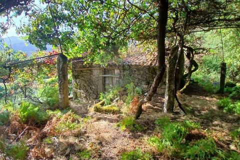Helårsgrund i Arcos de Valdevez, Viana do Castelo, Arcos de Valdevez - € 45.000 | Ref: 123331167-546 - foto 8