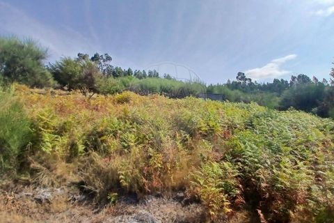 Helårsgrund i Arcos de Valdevez, Viana do Castelo, Arcos de Valdevez - € 45.000 | Ref: 123331167-546 - foto 10