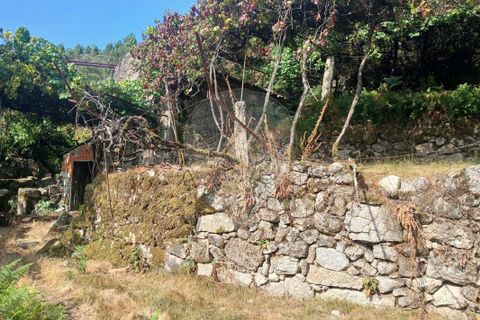 Helårsgrund i Arcos de Valdevez, Viana do Castelo, Arcos de Valdevez - € 45.000 | Ref: 123331167-546 - foto 11