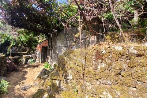 Helårsgrund i Arcos de Valdevez, Viana do Castelo, Arcos de Valdevez - € 45.000 | Ref: 123331167-546 - foto 12