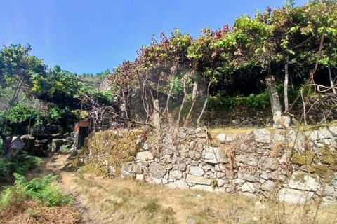Helårsgrund i Arcos de Valdevez, Viana do Castelo, Arcos de Valdevez - € 45.000 | Ref: 123331167-546 - foto 13