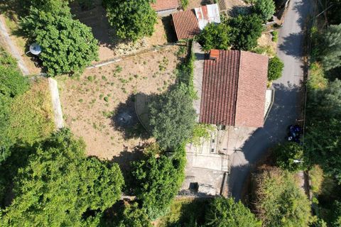 Villa i Cabeceiras de Basto, Braga, Cabeceiras de Basto - € 129.900 | Ref: 121751324-307 - foto 5