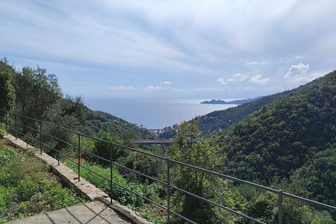 Villa a Zoagli, Genoa, Zoagli - € 380.000 | Ref: 22764 - foto 2