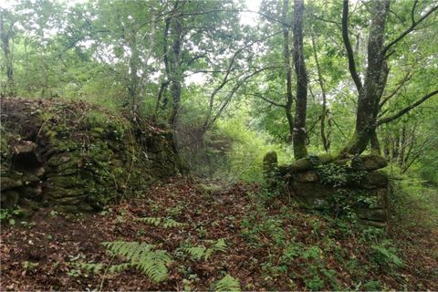 Terra a Amares, Braga, Amares - € 39.900 | Ref: 126971021-7 - foto 2