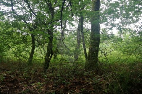 Terra a Amares, Braga, Amares - € 39.900 | Ref: 126971021-7 - foto 3