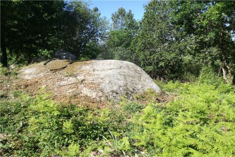 Terra a Amares, Braga, Amares - € 39.900 | Ref: 126971021-7 - foto 4