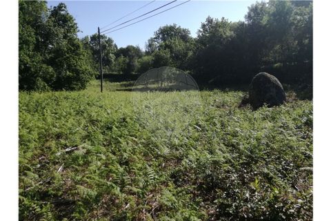Terra a Amares, Braga, Amares - € 39.900 | Ref: 126971021-7 - foto 5