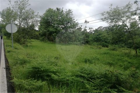 Terra a Amares, Braga, Amares - € 39.900 | Ref: 126971021-7 - foto 7