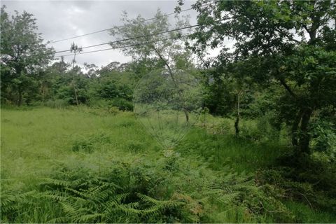 Terra a Amares, Braga, Amares - € 39.900 | Ref: 126971021-7 - foto 8