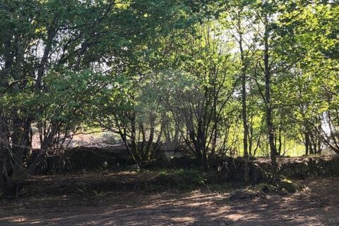 Terra a Amares, Braga, Amares - € 39.900 | Ref: 126971021-7 - foto 10