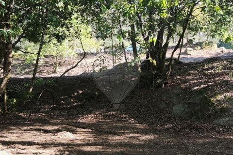 Terra a Amares, Braga, Amares - € 39.900 | Ref: 126971021-7 - foto 11