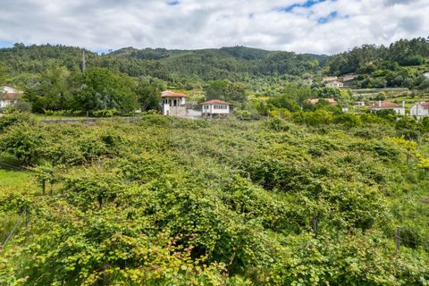 Villa a Amares, Braga, Amares - € 699.000 | Ref: 126971021-31 - foto 10