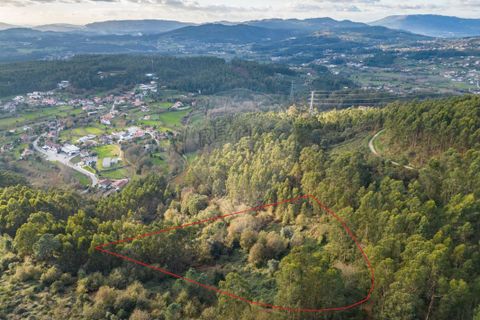 Helårsgrund i Vila Verde, Braga, Vila Verde - € 26.000 | Ref: 126971021-3 - foto 1