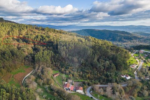 Helårsgrund i Vila Verde, Braga, Vila Verde - € 26.000 | Ref: 126971021-3 - foto 3