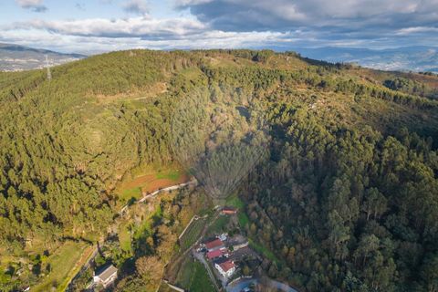 Helårsgrund i Vila Verde, Braga, Vila Verde - € 26.000 | Ref: 126971021-3 - foto 6