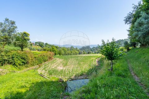 Terra a Amares, Braga, Amares - € 32.000 | Ref: 126971021-6 - foto 2
