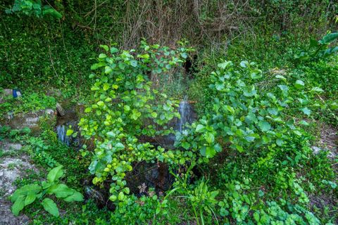 Terra a Amares, Braga, Amares - € 32.000 | Ref: 126971021-6 - foto 3
