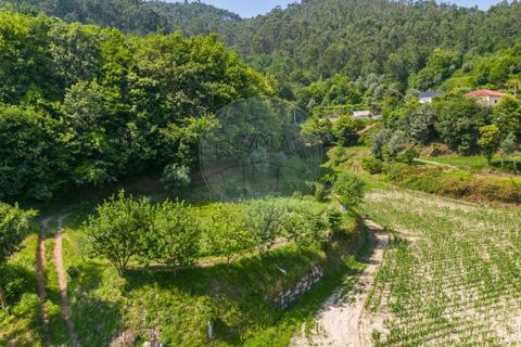 Terra a Amares, Braga, Amares - € 32.000 | Ref: 126971021-6 - foto 5