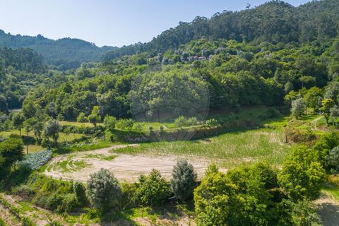Terra a Amares, Braga, Amares - € 32.000 | Ref: 126971021-6 - foto 6