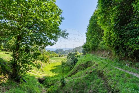 Terra a Amares, Braga, Amares - € 32.000 | Ref: 126971021-6 - foto 7