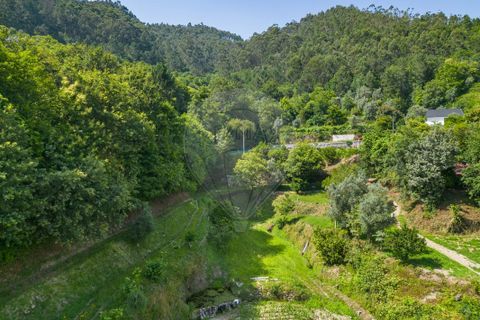 Terra a Amares, Braga, Amares - € 32.000 | Ref: 126971021-6 - foto 8