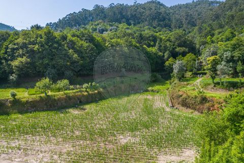 Terra a Amares, Braga, Amares - € 32.000 | Ref: 126971021-6 - foto 9