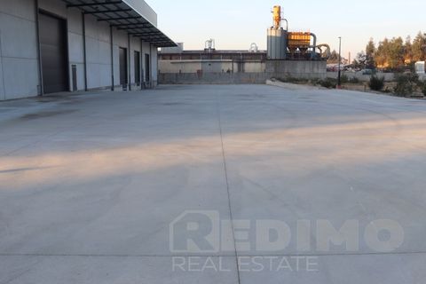 Bungalou a Lourosa, Aveiro, Lourosa - € 20.000/mes | Ref: 1348-PAV - foto 18