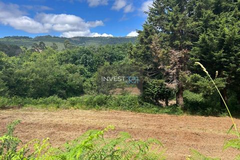Terra a Candemil e Gondar, Viana do Castelo, Candemil e Gondar - € 50.000 | Ref: 928 - Terreno Vila Nova de Cerveira - foto 4