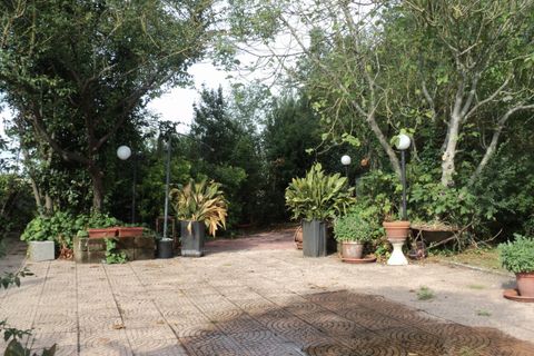 Villa a Argenta, Ferrara, Argenta - € 219.000 | Ref: VILLA GIANNA - foto 34
