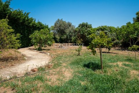 Villa i Lagoa, Faro, Lagoa - € 1.750.000 | Ref: EAV-4002 - foto 33