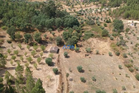 Helårsgrund i Castelo Branco, Castelo Branco, Castelo Branco - € 31.000 | Ref: 125075 - foto 2