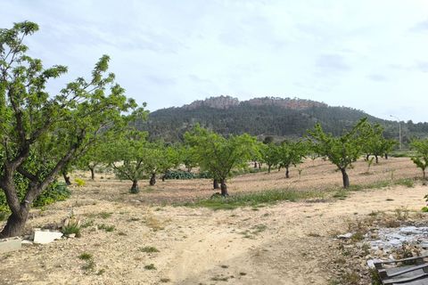 Cave house i Jumilla, Murcia, Jumilla - € 56.990 | Ref: 70040-c2508 - foto 2