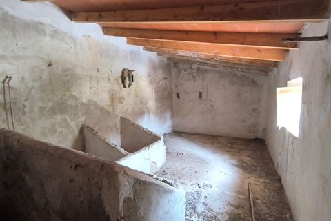 Cave house i Jumilla, Murcia, Jumilla - € 56.990 | Ref: 70040-c2508 - foto 7